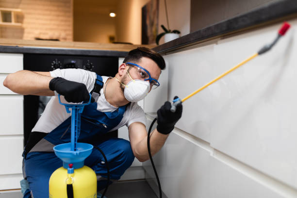 Best Affordable Pest Control Services  in Paris, TN
