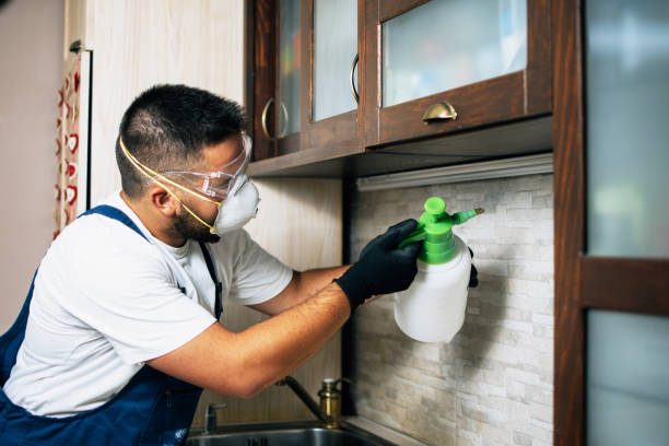 Best Mosquito Control Services  in Paris, TN