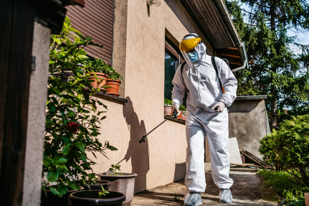 Best Exterminator Services  in Paris, TN