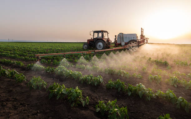 Best Commercial Pest Control Services  in Paris, TN