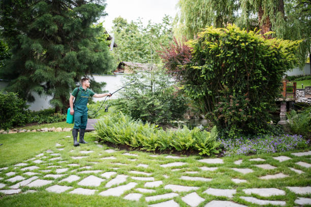 Best Affordable Pest Control Services  in Paris, TN