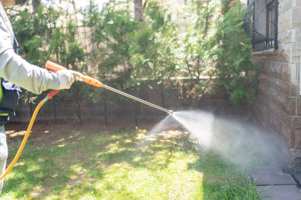 Best Pest Prevention Services  in Paris, TN